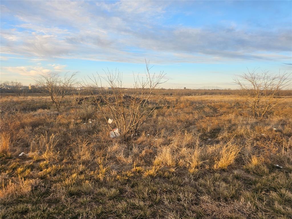 4902 Boys Ranch Road - Photo 5