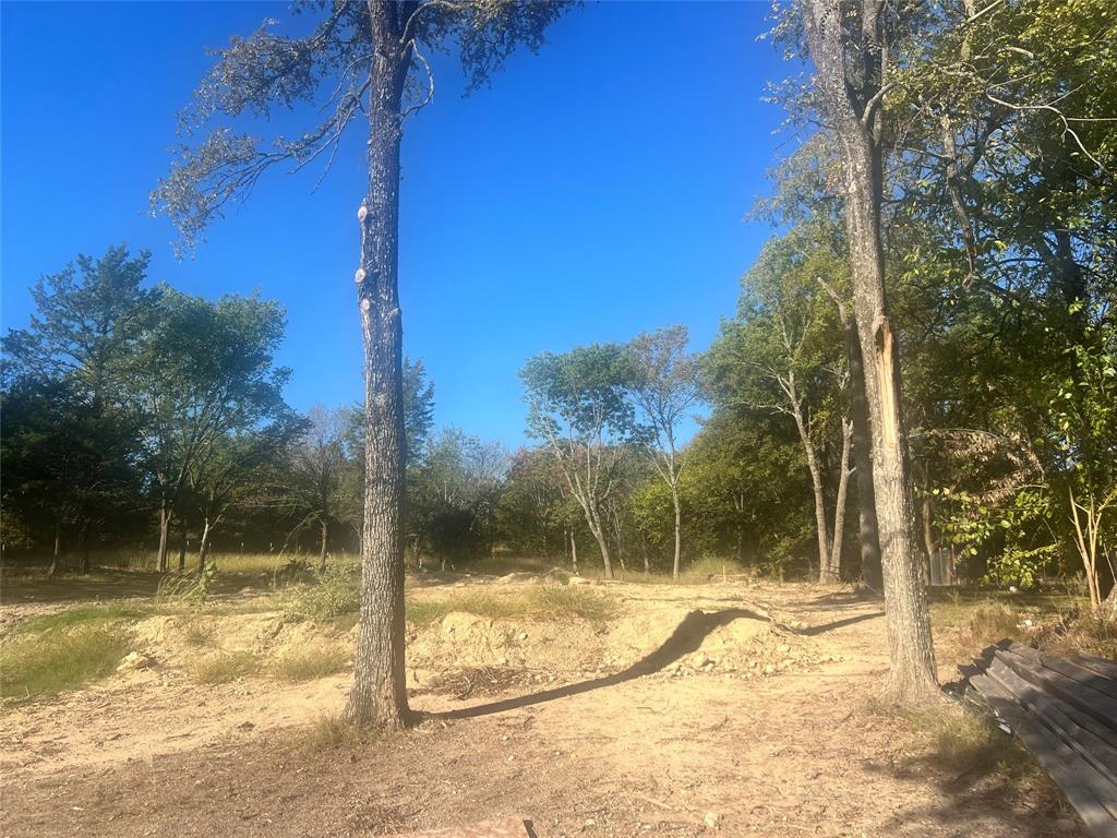TBD Ash Drive - Photo 5