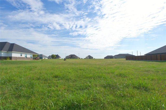 Lot 4 Mesquite