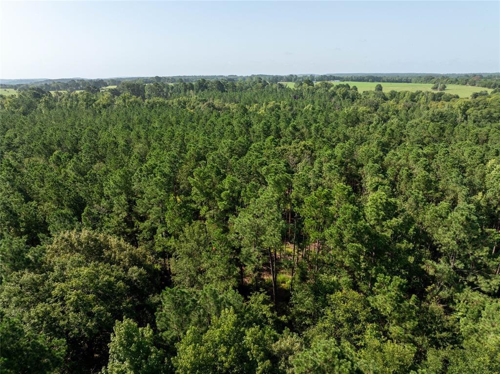 NW County Road 1713 - Photo 13