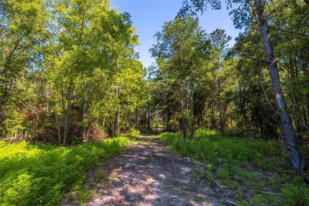 NW County Road 1713 - Photo 16