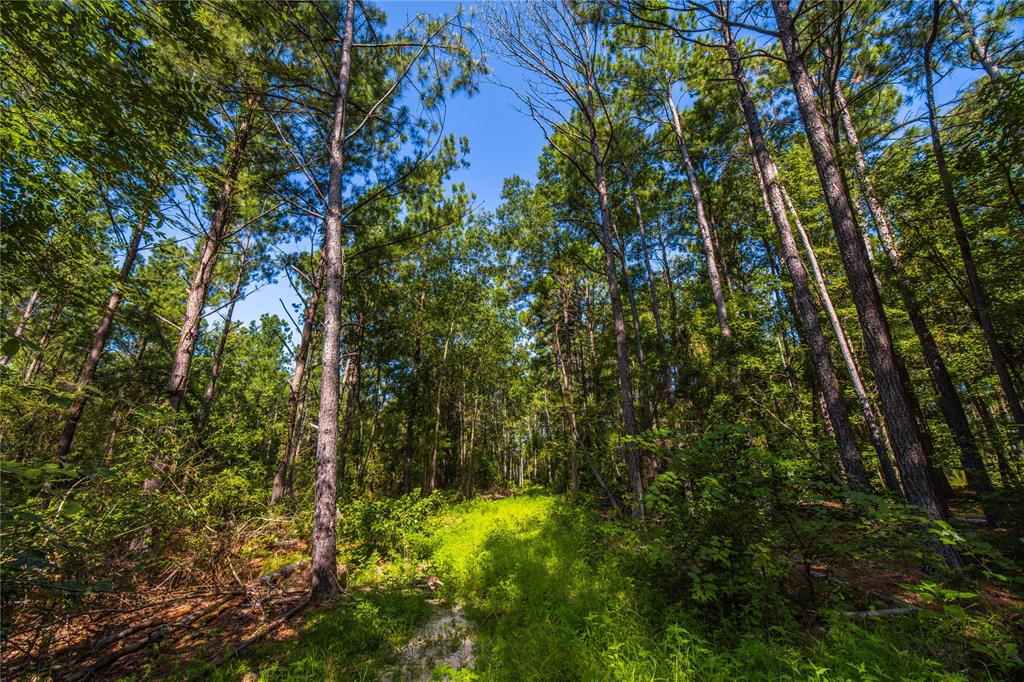 NW County Road 1713 - Photo 17