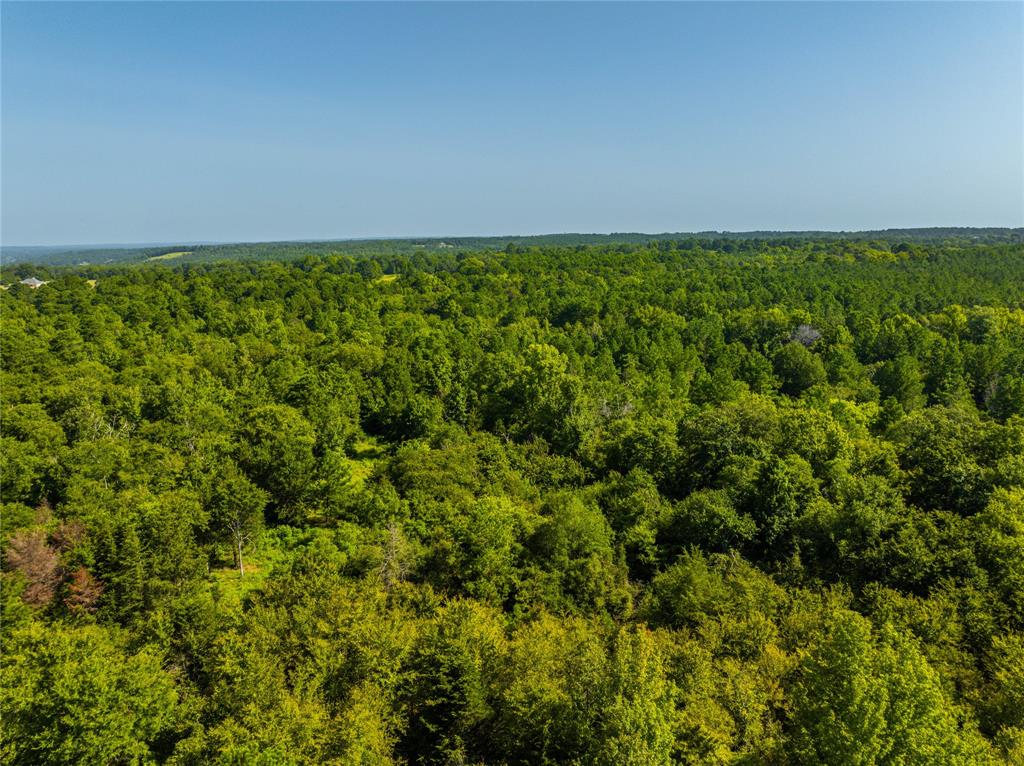 NW County Road 1713 - Photo 2