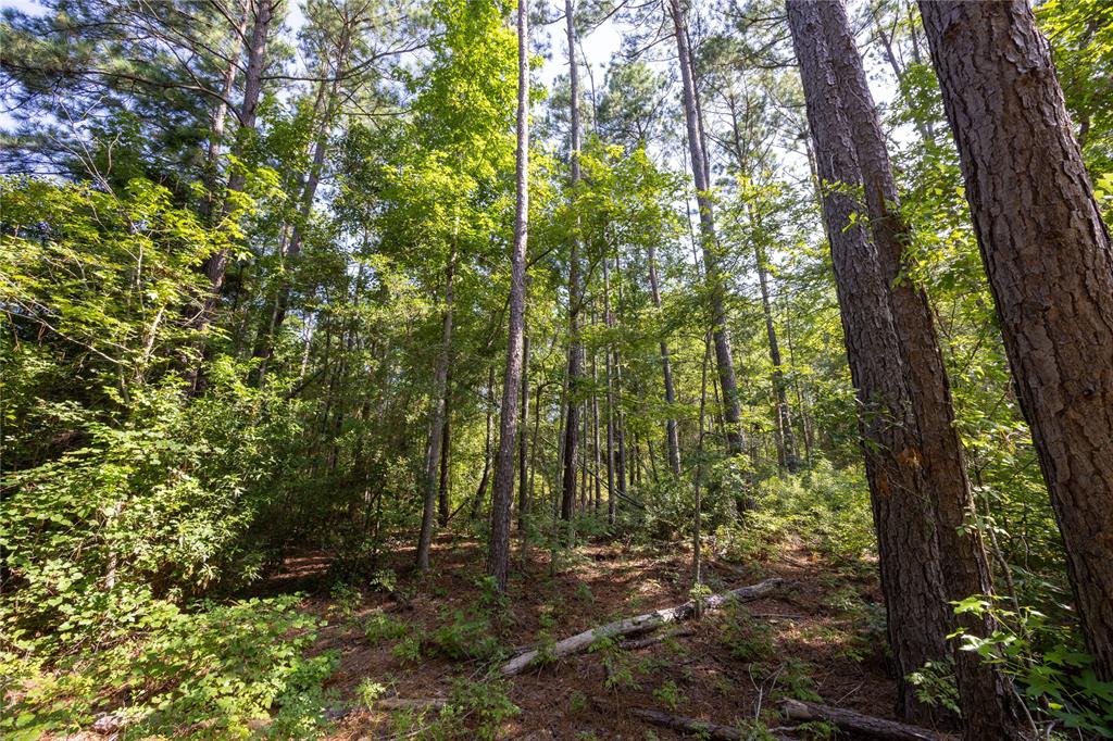 NW County Road 1713 - Photo 20
