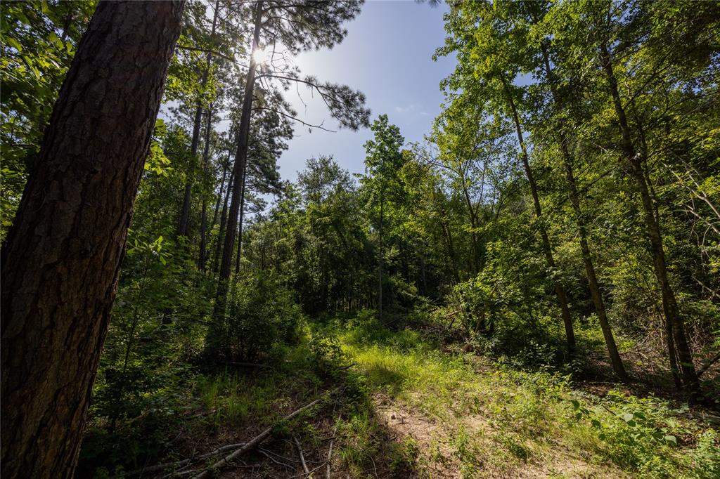 NW County Road 1713 - Photo 21