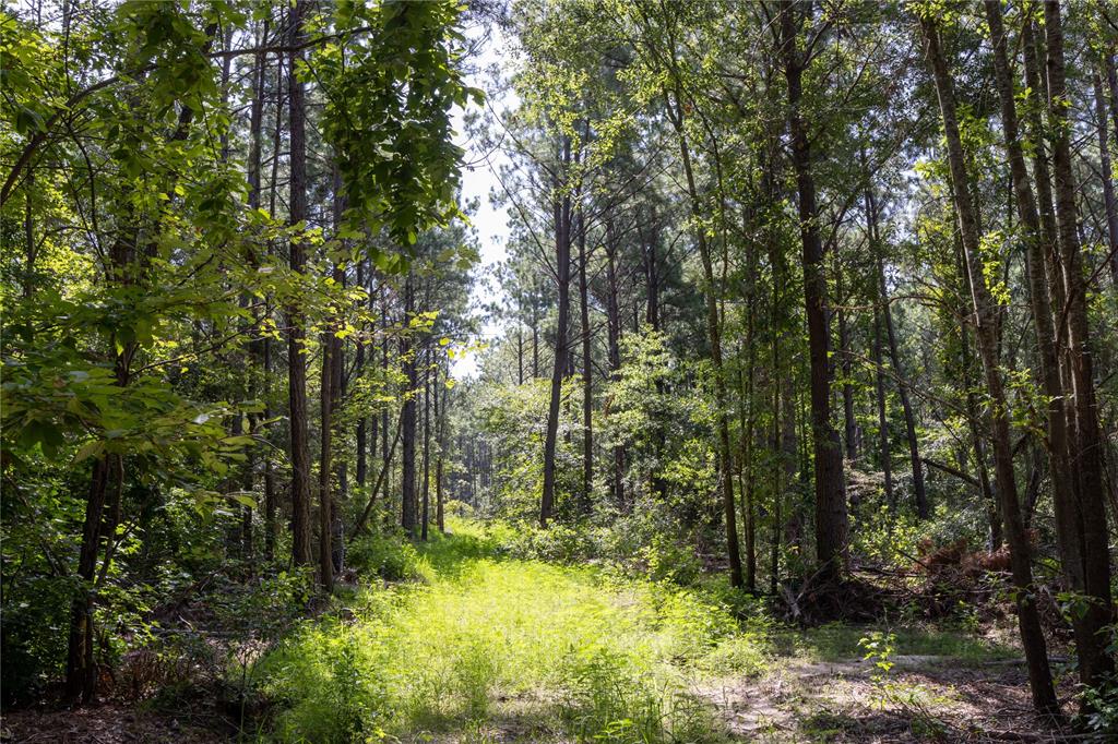 NW County Road 1713 - Photo 22