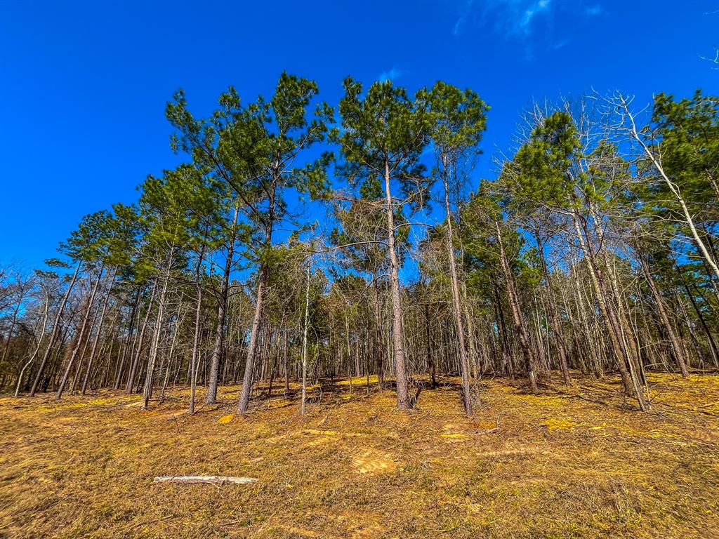 NW County Road 1713 - Photo 24