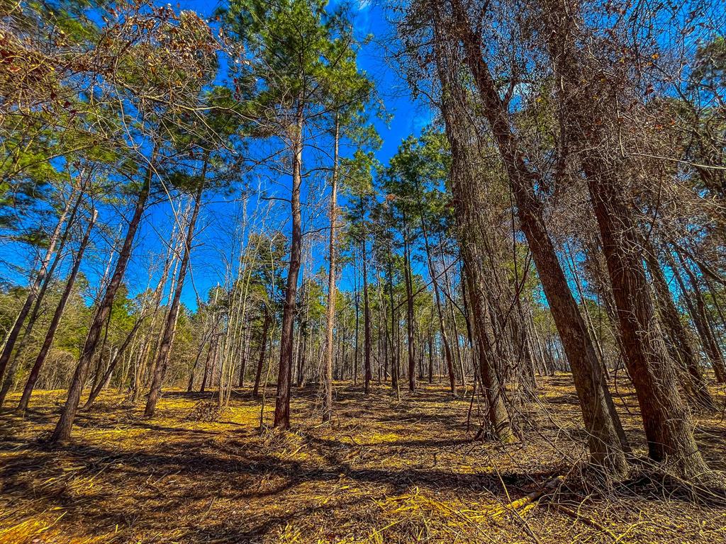 NW County Road 1713 - Photo 28