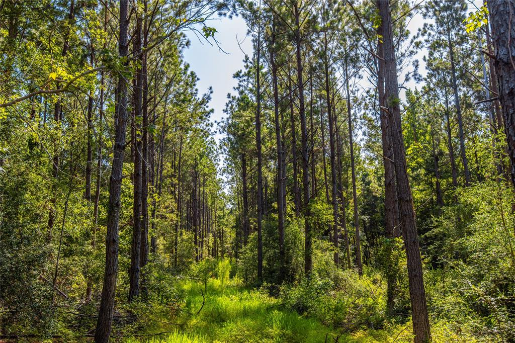 NW County Road 1713 - Photo 3