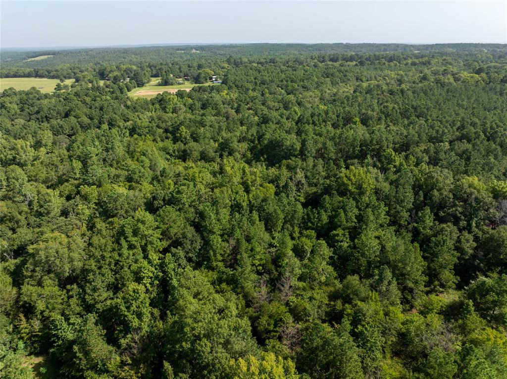 NW County Road 1713 - Photo 4