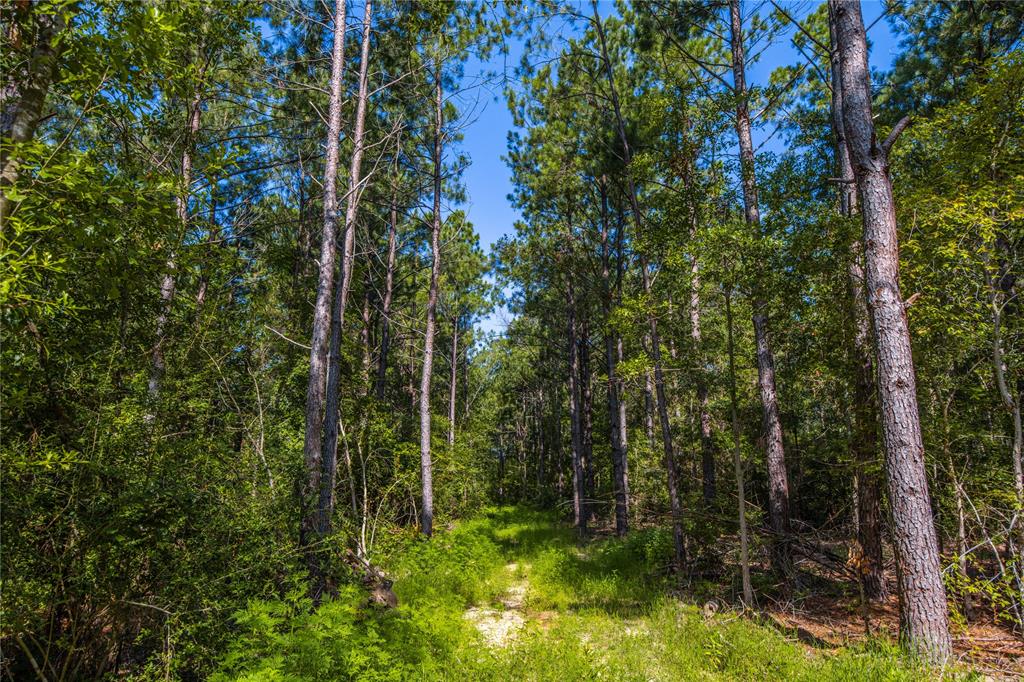 NW County Road 1713 - Photo 8