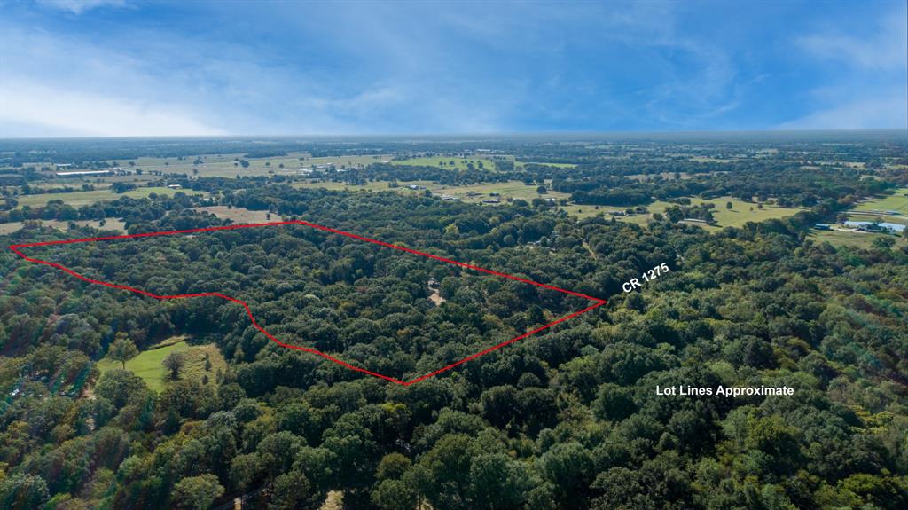 412 Rs County Road 1275 - Photo 10