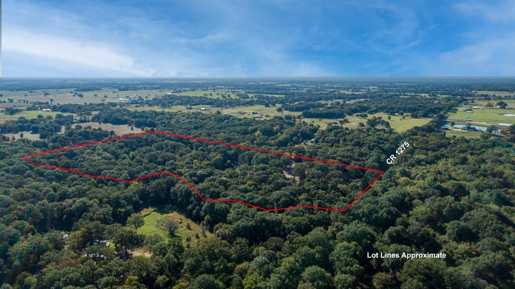 412 Rs County Road 1275 - Photo 11