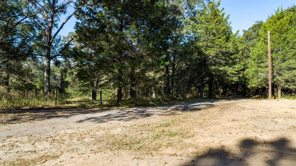 412 Rs County Road 1275 - Photo 6