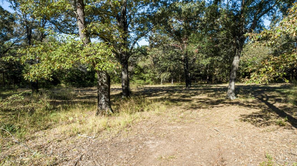 412 Rs County Road 1275 - Photo 7