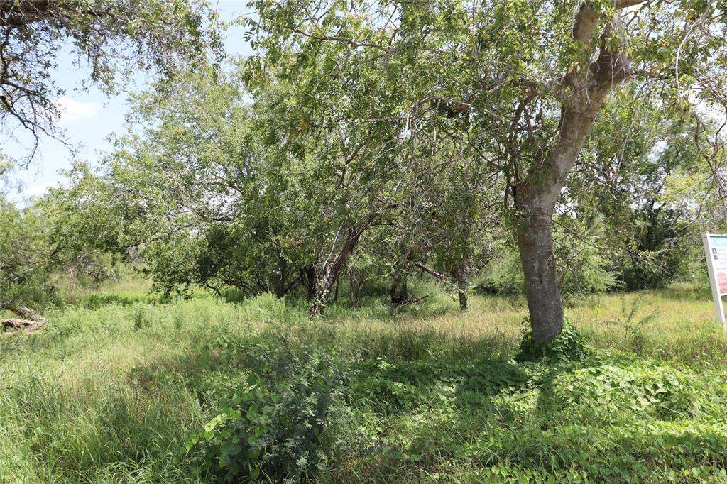 14135 County Road 1144 - Photo 10