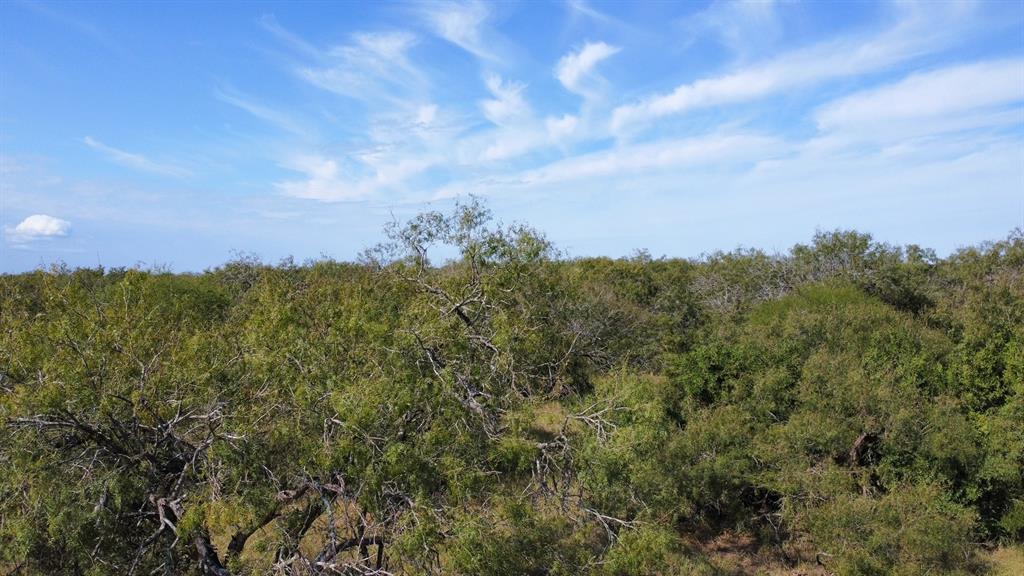 14135 County Road 1144 - Photo 12