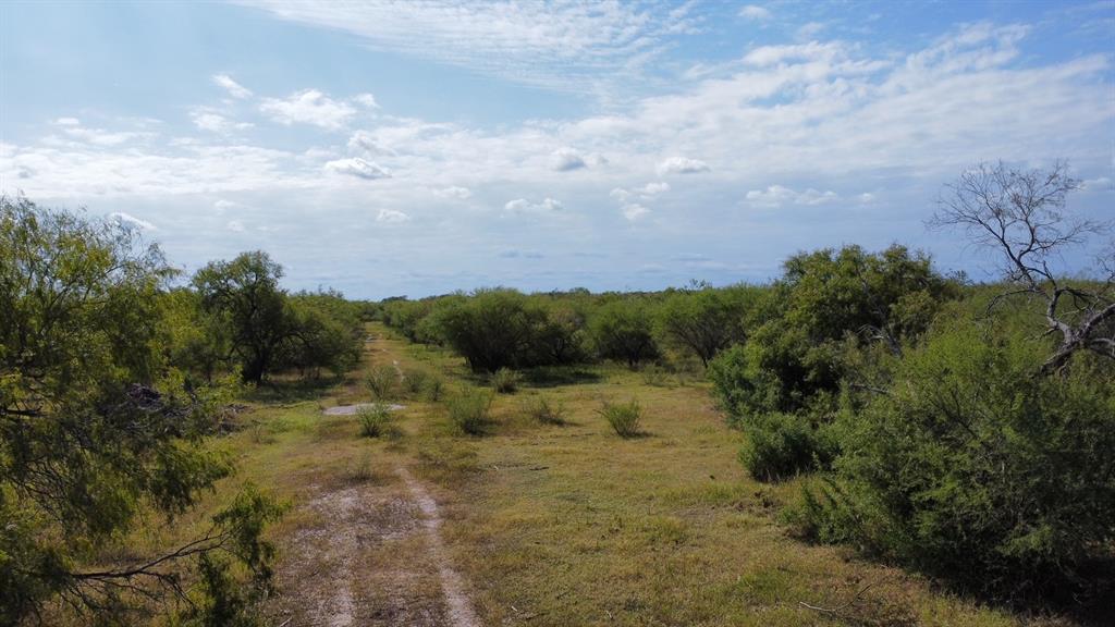 14135 County Road 1144 - Photo 13