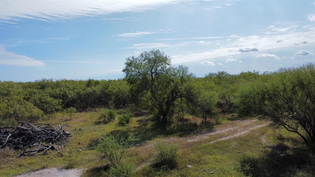 14135 County Road 1144 - Photo 14