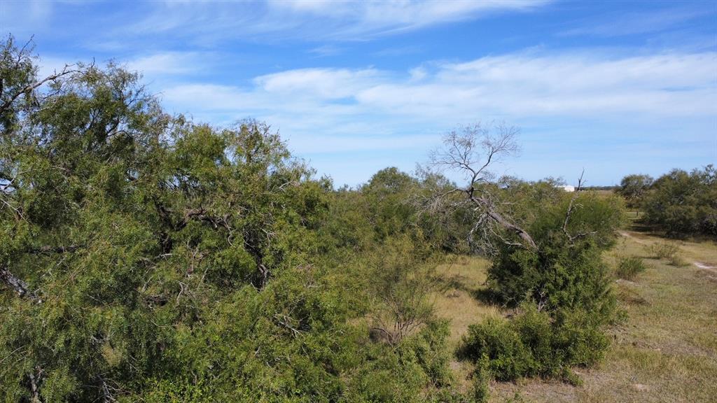 14135 County Road 1144 - Photo 15