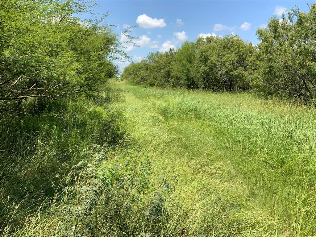 14135 County Road 1144 - Photo 4