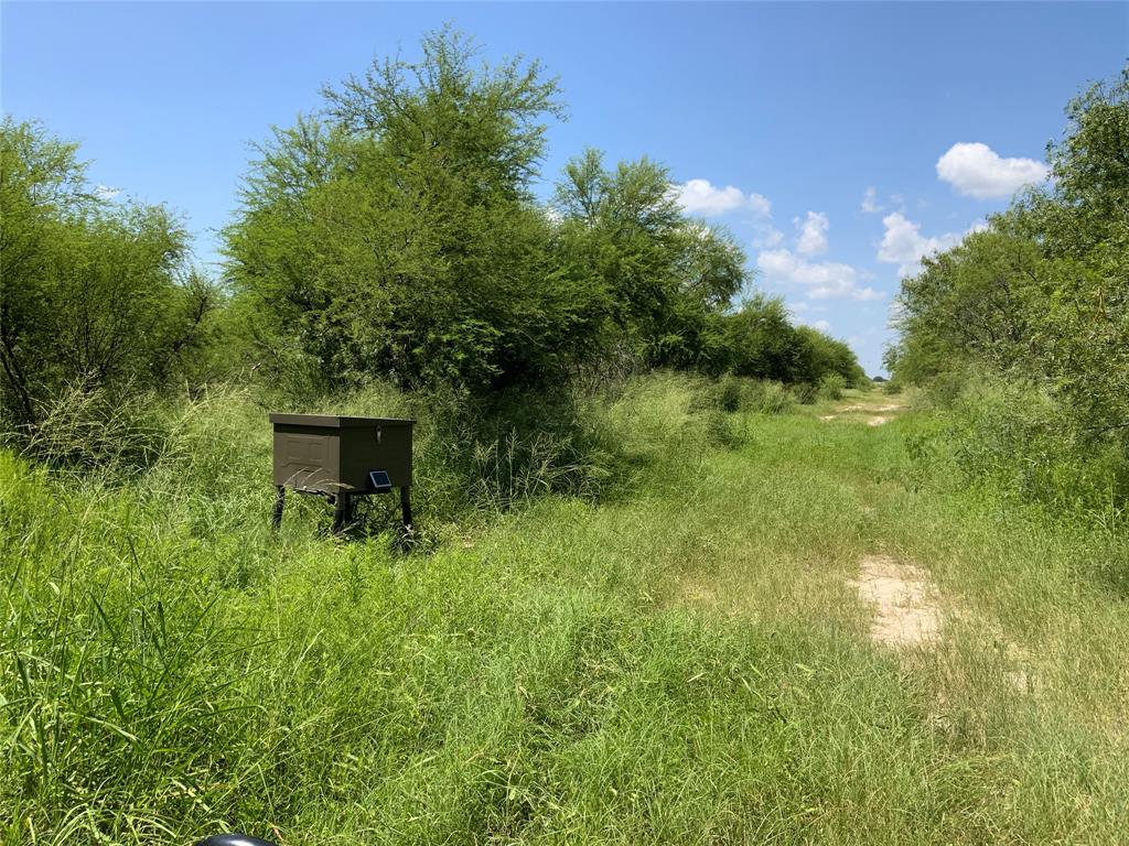 14135 County Road 1144 - Photo 5