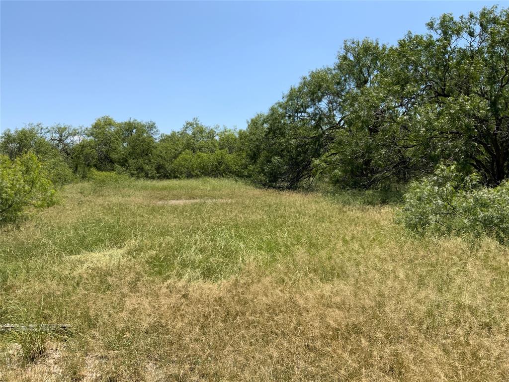 14135 County Road 1144 - Photo 7