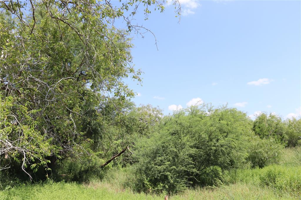 14135 County Road 1144 - Photo 8