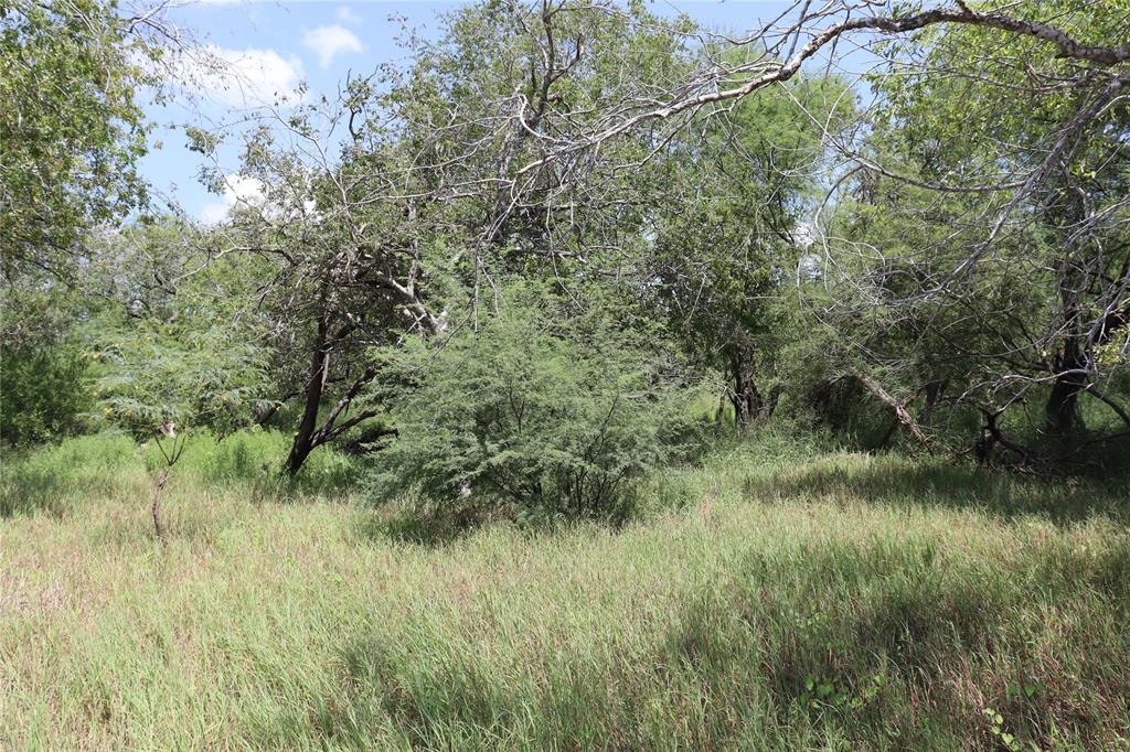 14135 County Road 1144 - Photo 9