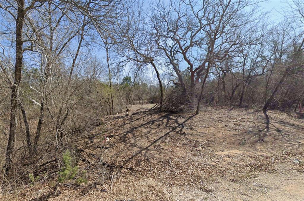 6209 Texas Trail - Photo 1