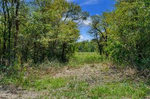 4184 Willow Oak Bend - Photo 10