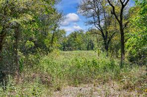 4184 Willow Oak Bend - Photo 11