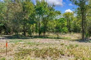 4184 Willow Oak Bend - Photo 12