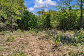 4184 Willow Oak Bend - Photo 13