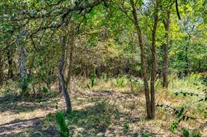 4184 Willow Oak Bend - Photo 14
