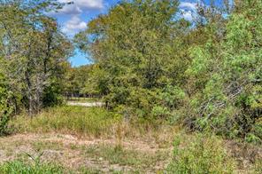 4184 Willow Oak Bend - Photo 17