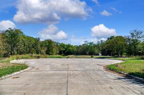 4184 Willow Oak Bend - Photo 4