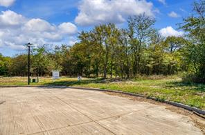 4184 Willow Oak Bend - Photo 8