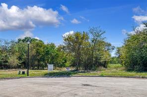 4184 Willow Oak Bend - Photo 9
