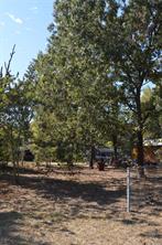 TBD Private Road 7704 Road - Photo 14