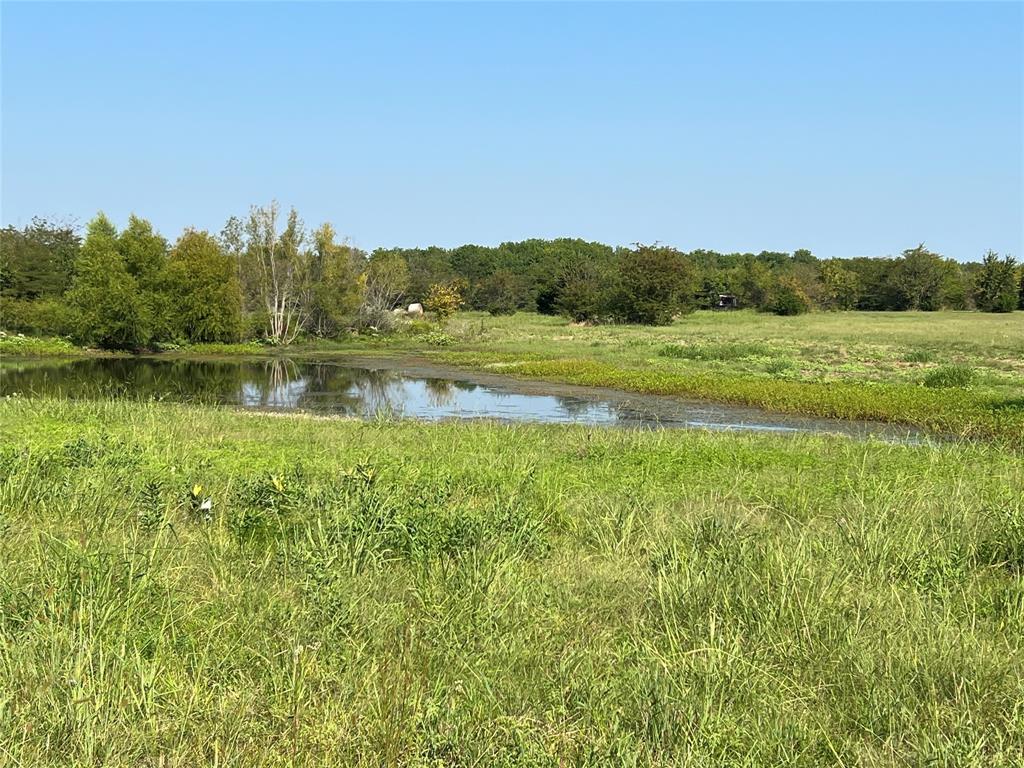 TBD County Road 4145 - Photo 1