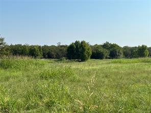 TBD County Road 4145 - Photo 12