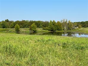 TBD County Road 4145 - Photo 19