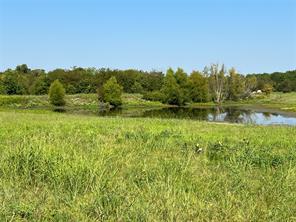 TBD County Road 4145 - Photo 20