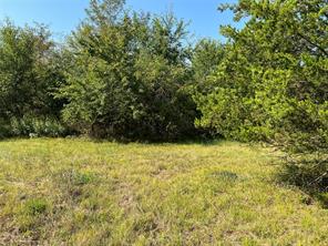 TBD County Road 4145 - Photo 21