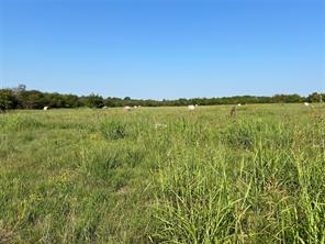 TBD County Road 4145 - Photo 23
