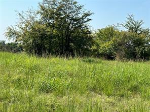 TBD County Road 4145 - Photo 3