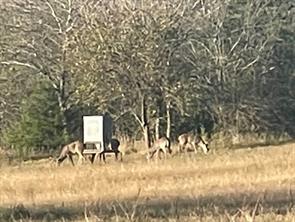TBD County Road 4145 - Photo 30