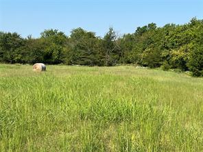 TBD County Road 4145 - Photo 4