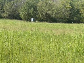 TBD County Road 4145 - Photo 5